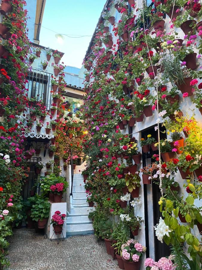 Apartmán Atico Casa Lola Córdoba Exteriér fotografie